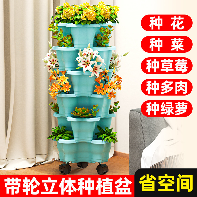 详情图