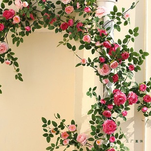 õ�廨����������ڒ�ٻ��ٗl�Ƶ��쾰���{ˮ�ܵ��ڳ��b�