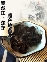 东北黑木耳干货500g长白山散装商用生非小碗耳特东宁秋木耳级批发