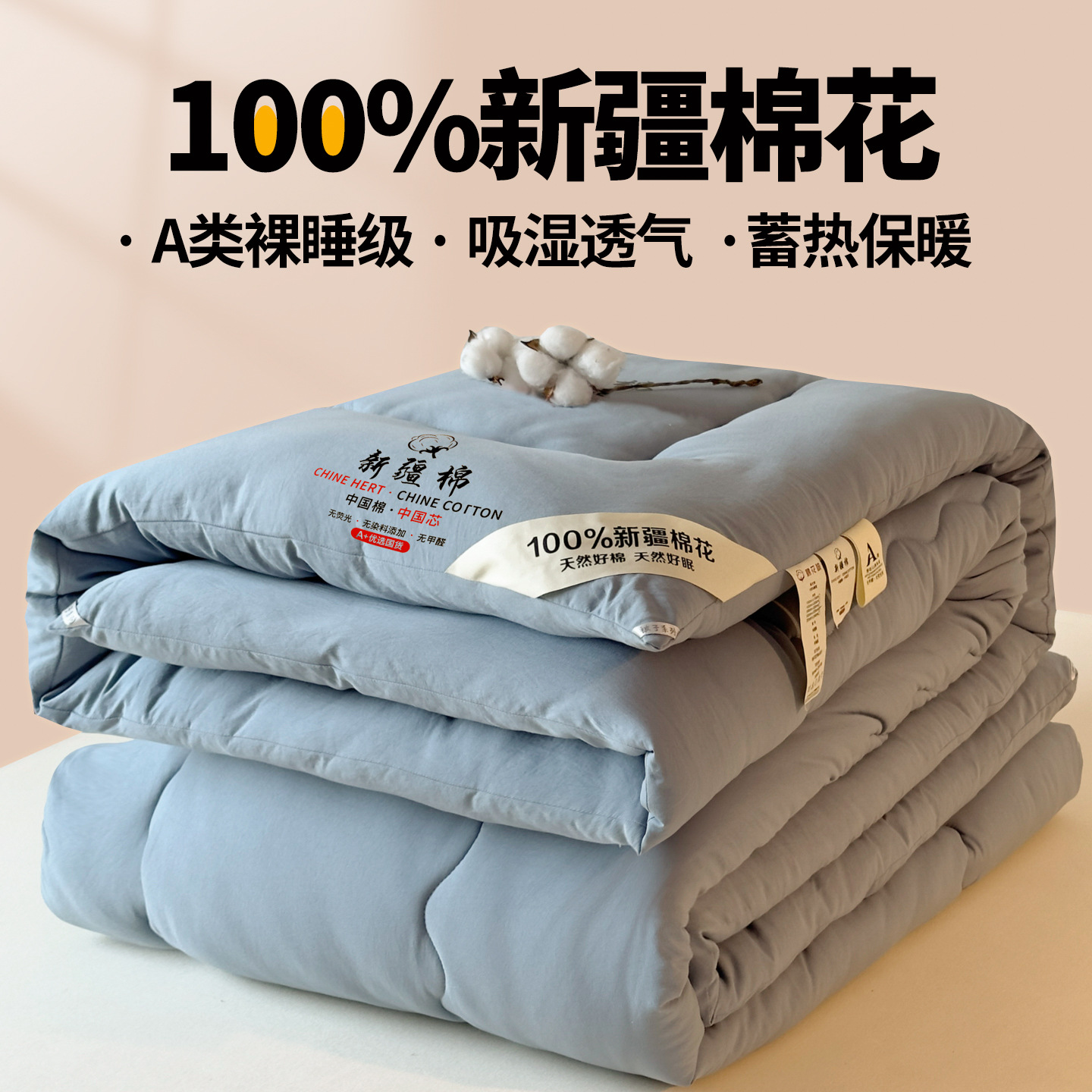 2025 New Xinjiang Cotton Quilt Quilt Core Winter Quilt Spring & Fall Quilt Pad Quilt Two-In-One Quilt