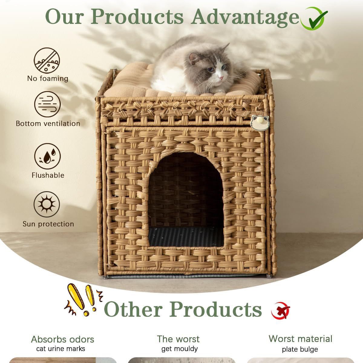 2025-05-19 14:08:34.jpg