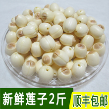 速冻新鲜莲子手工剥壳去皮鲜莲广昌通芯白莲带芯莲子顺丰包邮2斤