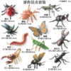 HFM Mini Insects 12 Type A Set (Including Butterflies)