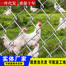 �����W��\�F�z�W���ھW����\䓽z�W�Bֳţ�ھWȦ�ط��o�řڶ���