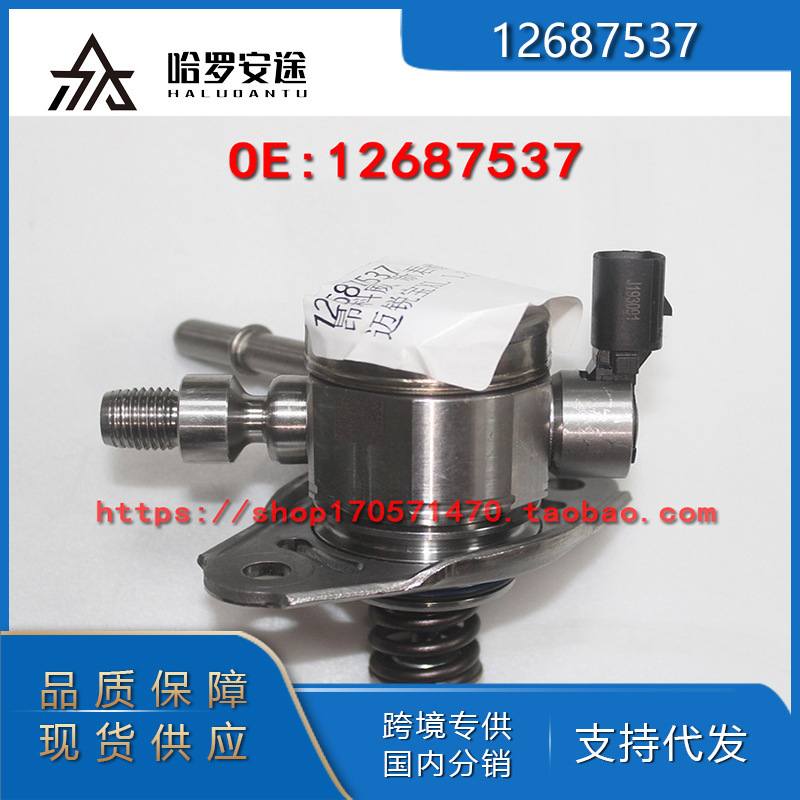 Postage factory direct 12687537 for Angkewei Mai Ruibao New Regal 1.5T National 6 High Pressure Oil Pump