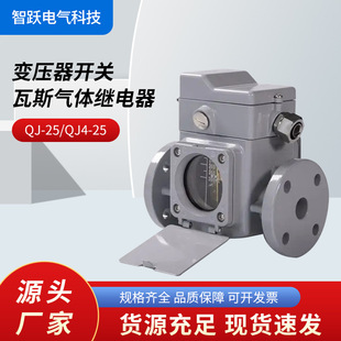 Zhiyue Electric Qj-25, Qj4-25, Qj6-25, Qj7-25 Transformer Gas Gas Relay