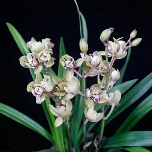 �m���������m�����҃������m�����m�ļ����˿͏d����ǧ�����܊