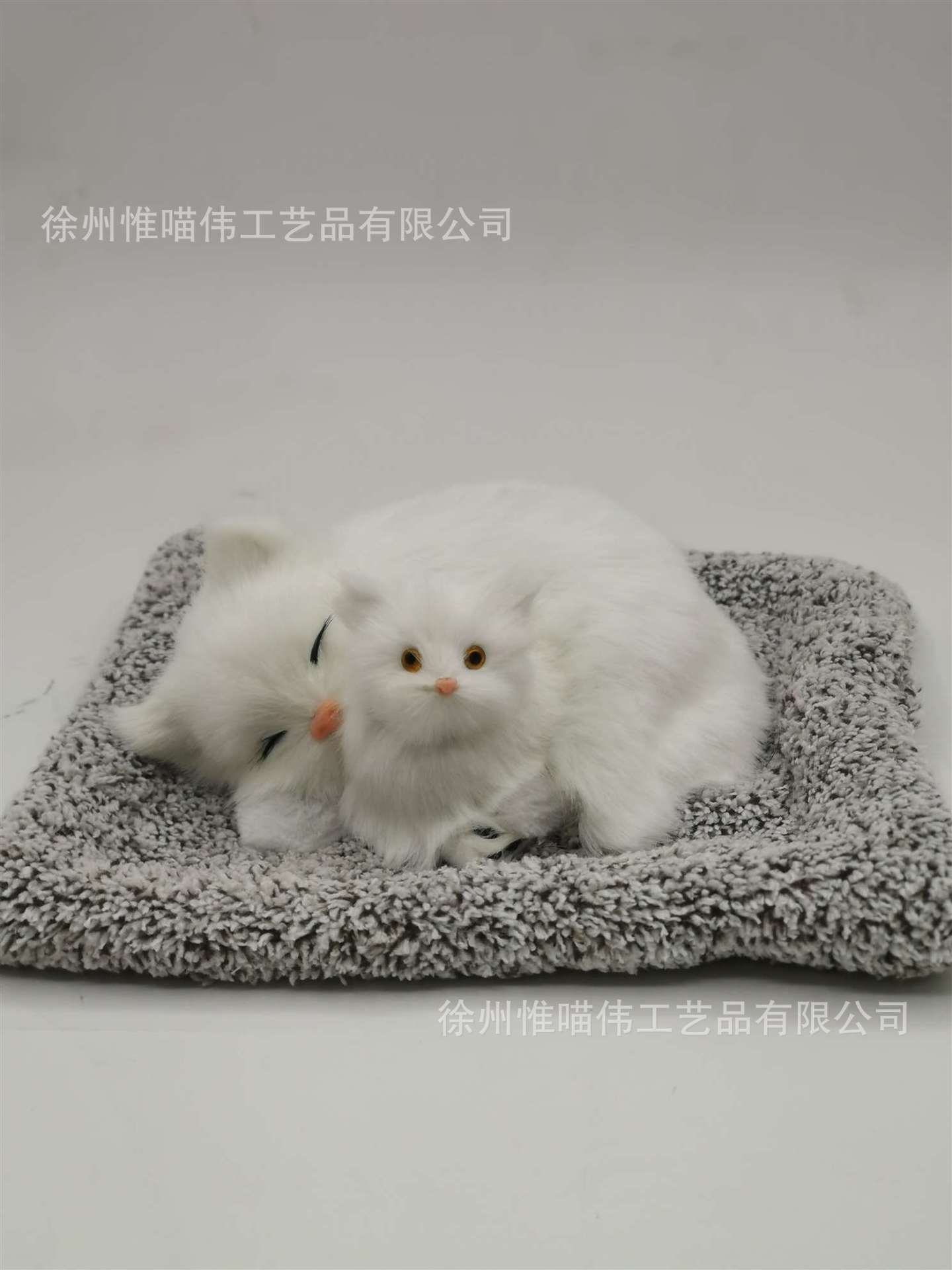 Madre e hijo puro gato blanco cuclillas + cabello gris