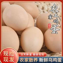 ���l�� �Լ��r��ɢ�B���u�����u�� С���Y�л��b�F���r�u��