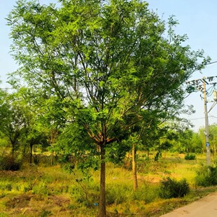 ̎��������������Ի����������v��̎��Ҏ���Rȫ�������ؾG��