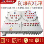 电动机直起动力控制箱 BQC53防爆磁力启动器电磁起动配电箱配电柜
