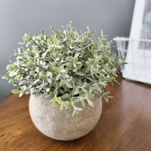 AǧӲ͏dưɿȏdҾߕb滨l