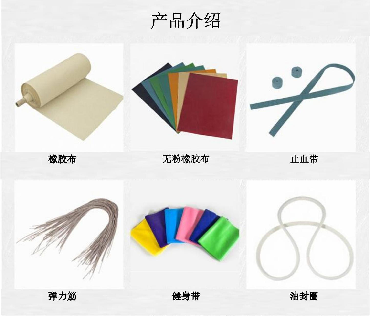 Shanghai-Aishike-Trading-Co-Lt