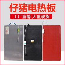 仔猪电热板小猪恒温板小狗仔猪保温板双线小猪用加热板兽用电热板