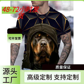 男式男女通用 T 恤图形印花油画圆领灰色 3D 打印假日短袖印花服