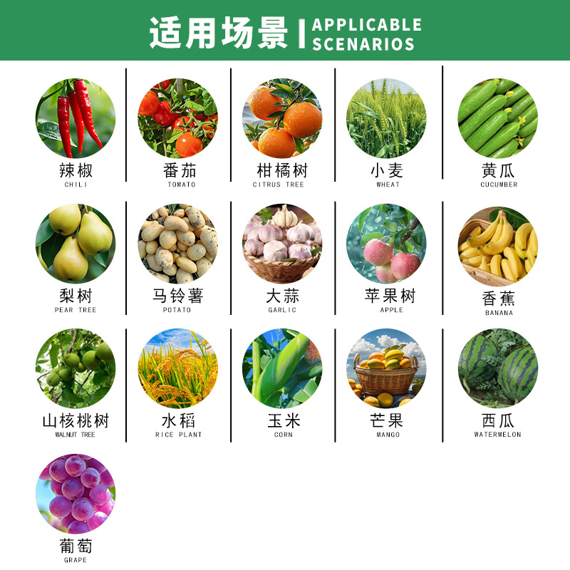 Байер, Германия, принимает вражеский стабилизатор 肟 Эстер Пентаолльхол, рисовый паттерн, рисовый пластиковый розовый пестицидов пестицидов стерилизатор 100G