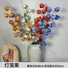 ���\���ٻ����滨���\����ĭ����c·���Ƶ�Y���b��Ŀ羳����