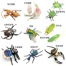 ���ķ������xΛ�ƽ����п�ȸ֩�� �m������nω���xģ��������l