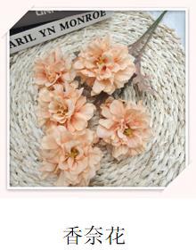 香奈花1.jpg