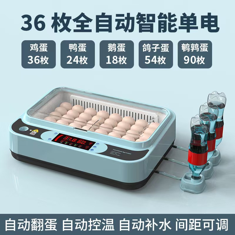 Incubadora de pollo de venta directa Incubadora doméstica pequeña Incubadora doméstica inteligente automática Caja de incubación de pollo