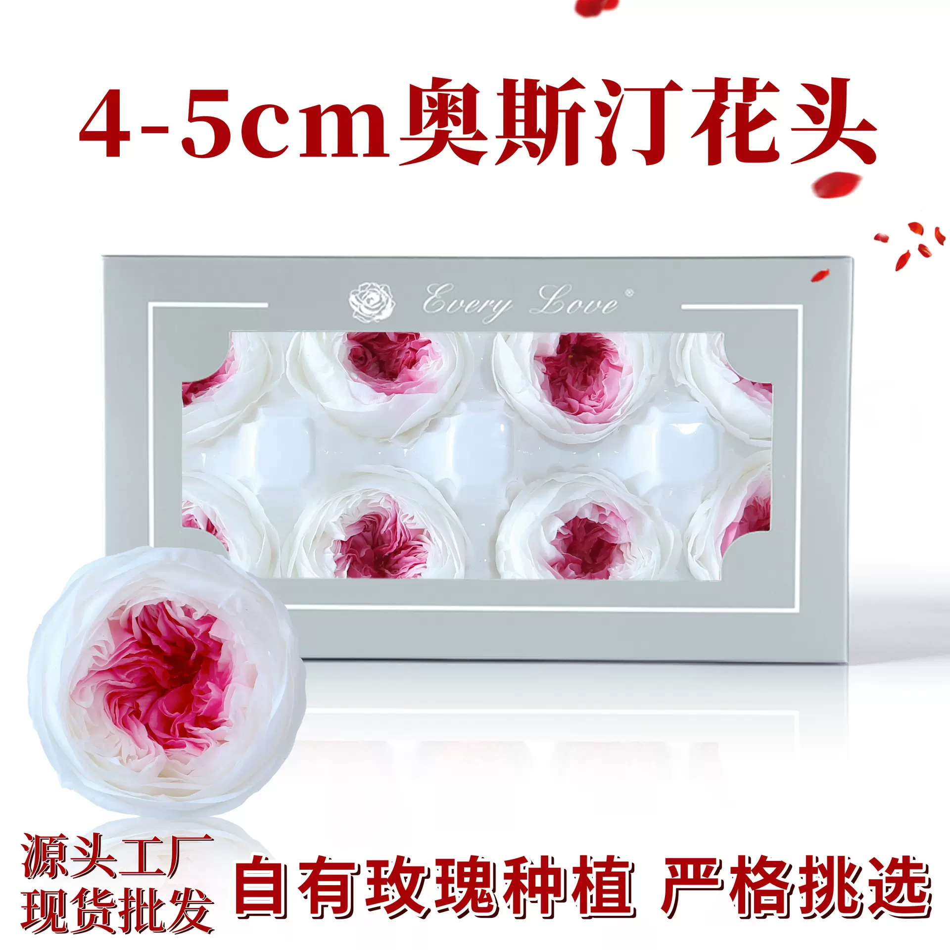 永生花玫瑰花奥斯汀8朵装高级感礼品diy材料批发干花巧克力泡泡