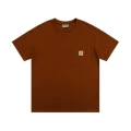 CT09 Dark Brown