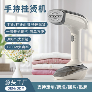 RX-01 household portable electric iron ironing machine clothes small handheld steam hanging ironing machine cross-border Amazon