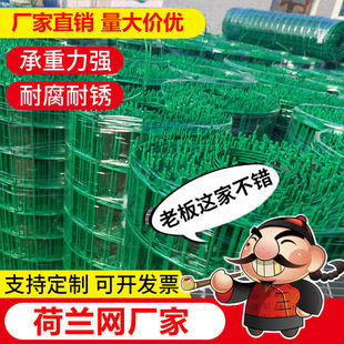 Chicken, Duck and Goose Fence Fence Dutch Mesh Wire Mesh Fence Breeding Net Chicken Net Fence Guardrail Protective Net Steel Wire