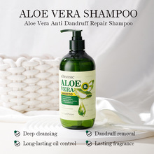 KORMESICȫӢ���J�Cϴ�lˮAloe shampoo������혰l�z����ϴ�l¶