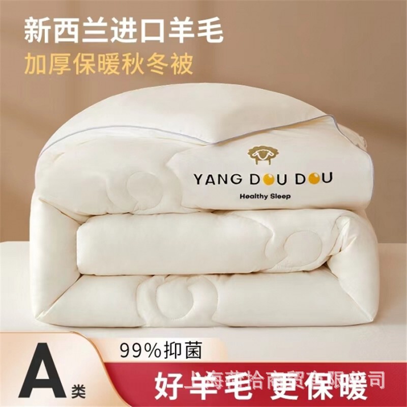 Home Textile Pure New Wool Quilt 100% Pure Wool Quilt Winter Quilt Cotton Single/Double Spring and Autumn Quilt Core Gift