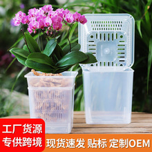 ˮ�ඨֲ�@�Ӻ�͸�ⷽ�����Ϲ̶��@�~�����ԾG�}�m������