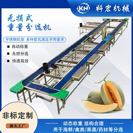 包装辅助设备;其他包装设备;肉品加工设备