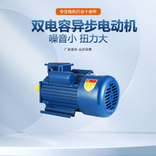 ˫ֵ첽綯YL100-3KW--2