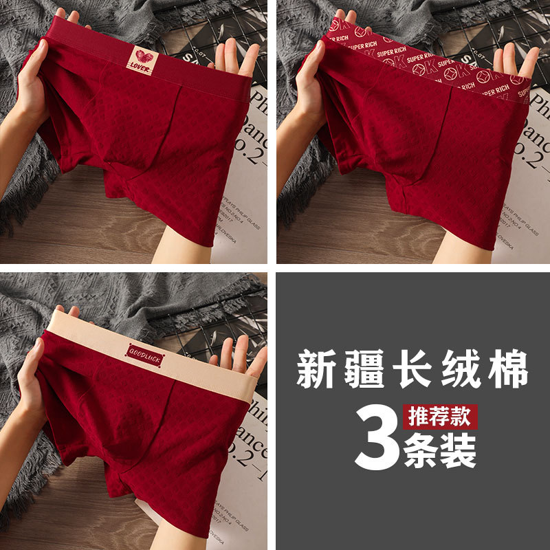 3팩 행운의 따뜻한 마음 + 행운의 마음 + 행운과 행운