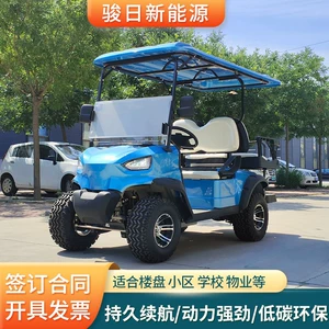 2-seater golf cart, electric sightseeing vehicle for scenic areas, patrol vehicle, electric golf cart for zoos and parks