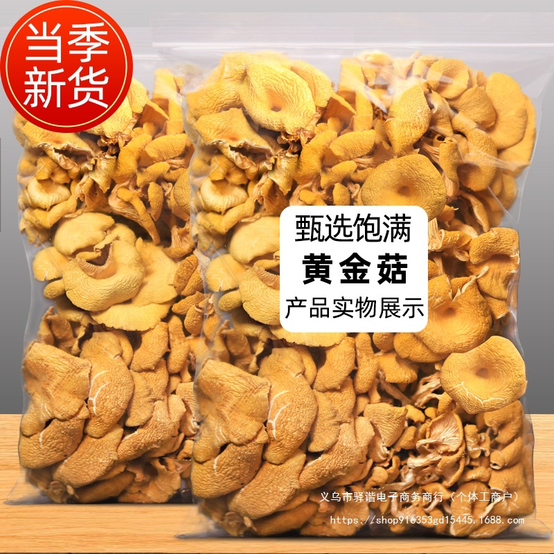 云南特产鸡油菌菇干货500g干蘑菇菌菇野生菌黄行菇蘑黄丝菌