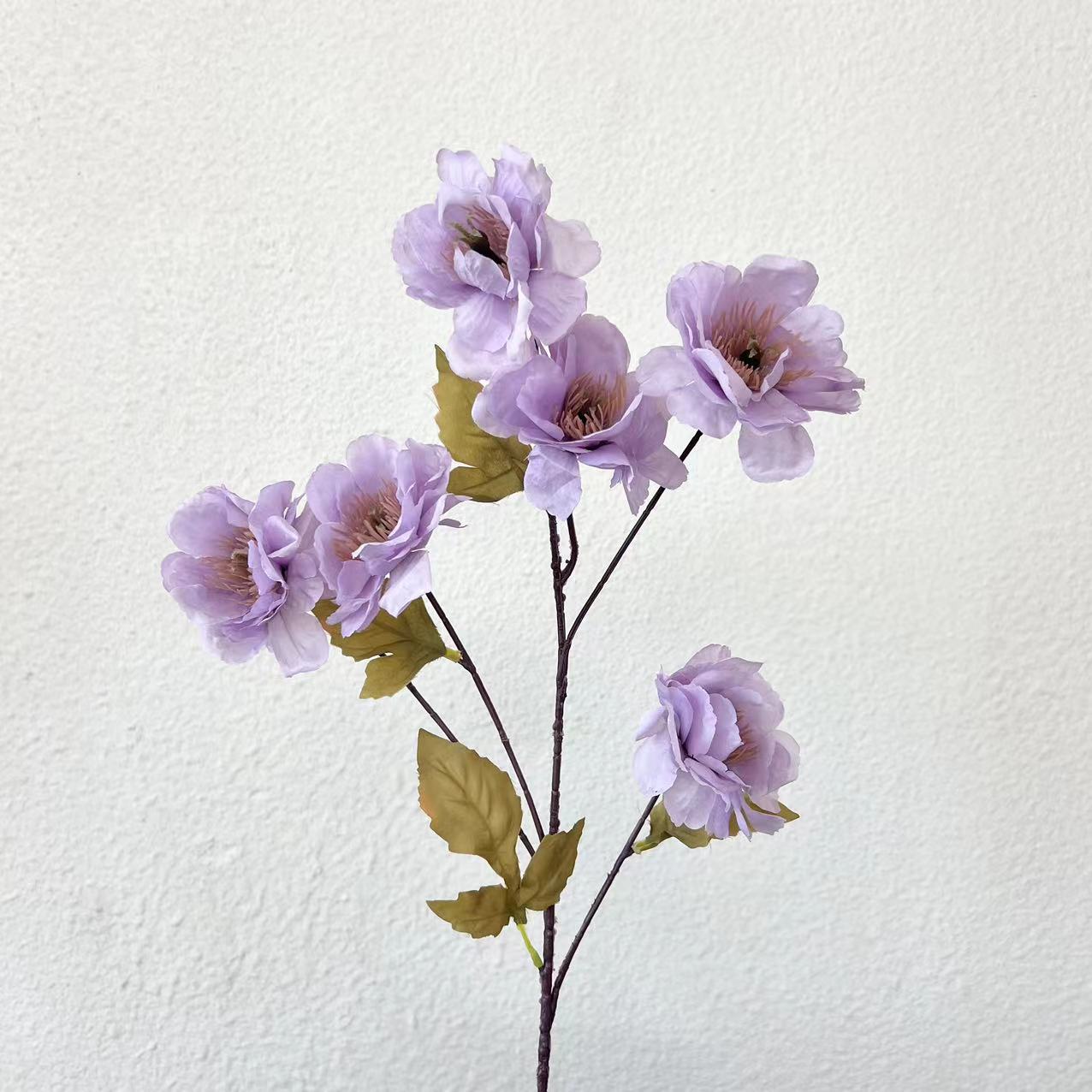 Gardenia morada de 6 cabezas