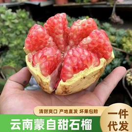 块茎类;苹果;其他蔬菜