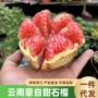 突尼斯云南软籽孕妇甜石榴