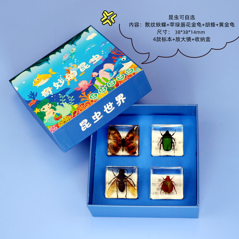 선물 4종 + 선물박스 선택 가능 ()