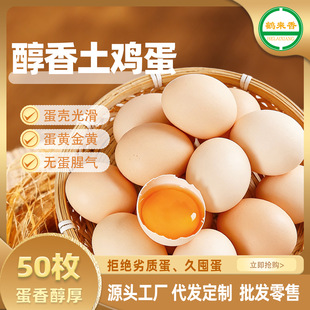 ���u����؛�r�����r���u��50ö�r�u��ʡ�����䵰�G�����u�����l