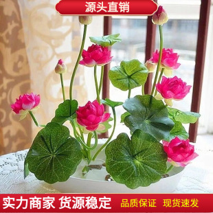 7lѿļoˮɏNˮB˯ɏɻļ