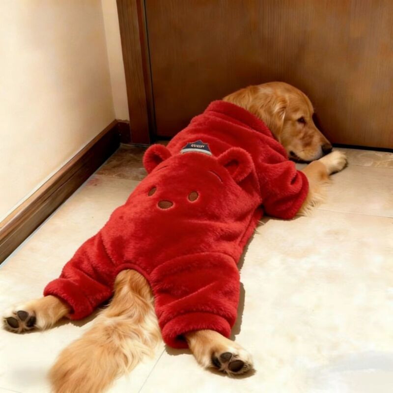 Dogs in Red Clothes Celebrate the New Year, Labrador, Samoyed, Large Dogs, Winter, Medium and Large Dogs, Border Collie Dogs in Red Clothes Celebrate the New Year, Labrador, Samoyed, Large Dogs, Winter, Medium and Large Dogs, Border Collie