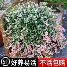 ���~�jʯ�����m�Gֲ�������^���~�����҃����ͺ��͟��ļ�����B��