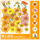 other product image