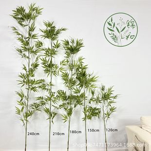 �h�����z��ж���ܷ������Ӳ͏d�Ƶ�@���b��������� ���^��ë