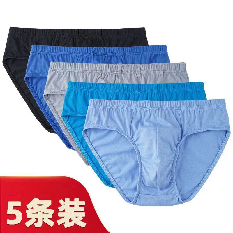 Cotton Men's Briefs Mid-waist Breathable Loose Youth Underpants Middle-aged Briefs Sports Short Pants