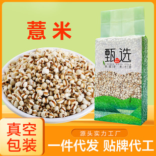 С޲��500�� ��հ��b޲������������s�Z�ּZ�t��޲�׏S�����l