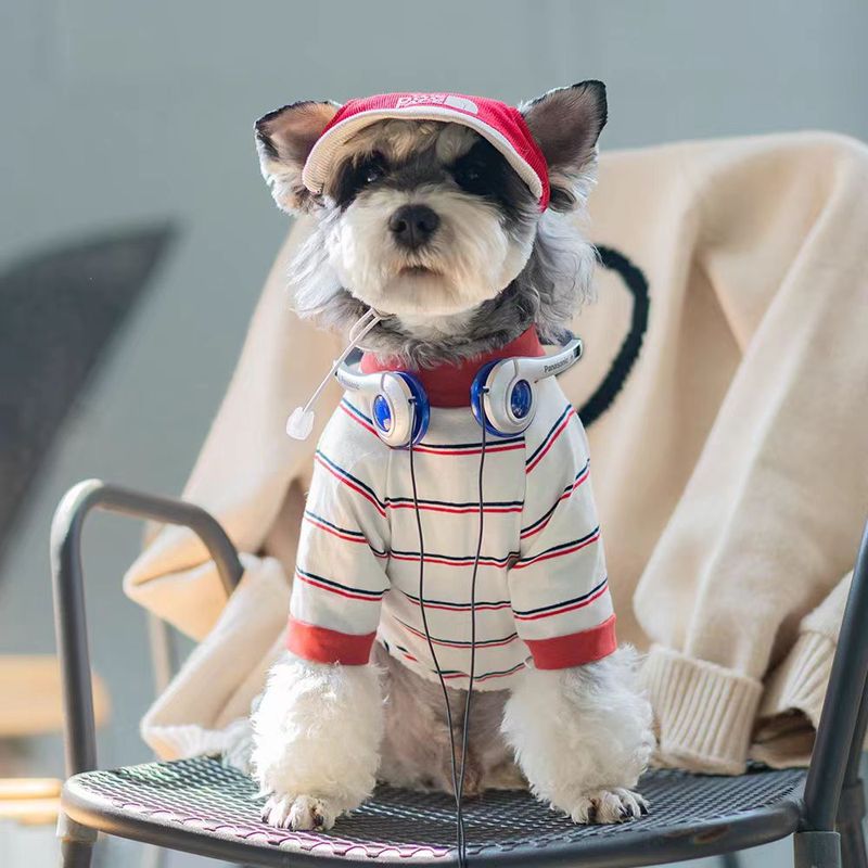 夏犬ストライプ四本足服通気性薄いシュナウザービション中小型犬クールストライプ犬服|undefined
