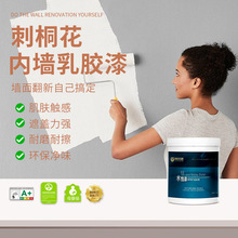 刺桐花水性内墙乳胶漆家用室内自刷白色墙面翻新修复环保净味涂料